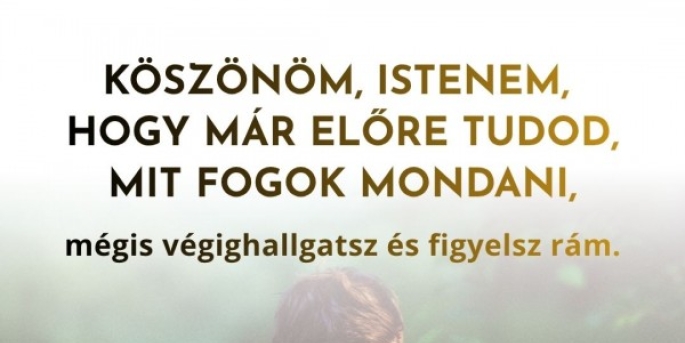 Igefolyam #8480