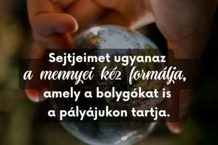 Igefolyam #8483